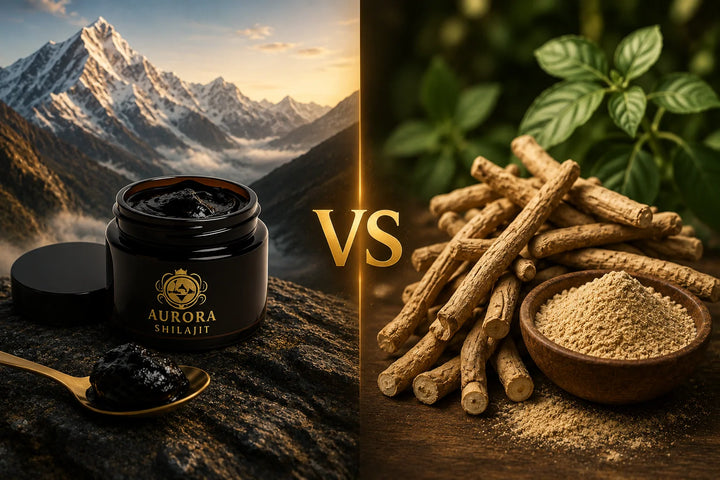 Shilajit vs Ashwagandha: ¿Cuál es la Diferencia?